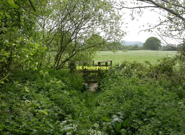 Photo 6"x4" Glanvilles Wootton, footbridge Middlemarsh c2011