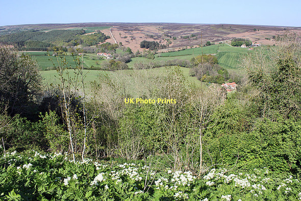 Photo 6"x4" View to Spaunton Moor Gillamoor c2011