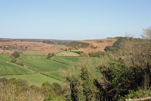 Photo 6"x4" View over Douthwaite Dale Gillamoor c2011