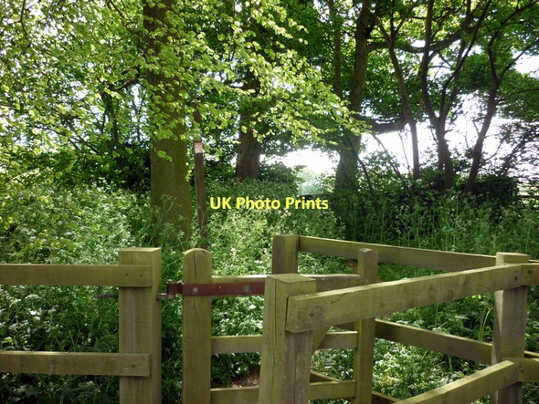 Photo 6"x4" A footpath off Brick Dike Lane, at High Hunsley High Hunsley c2011