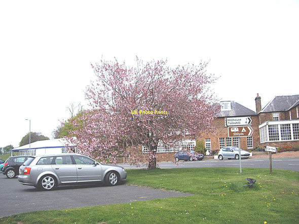 Photo 6"x4" Flowering tree Oxton\/NT4953 c2011