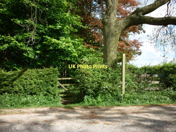 Photo 6"x4" A footpath off Goodmanham Road Middleton on-the-Wolds c2011