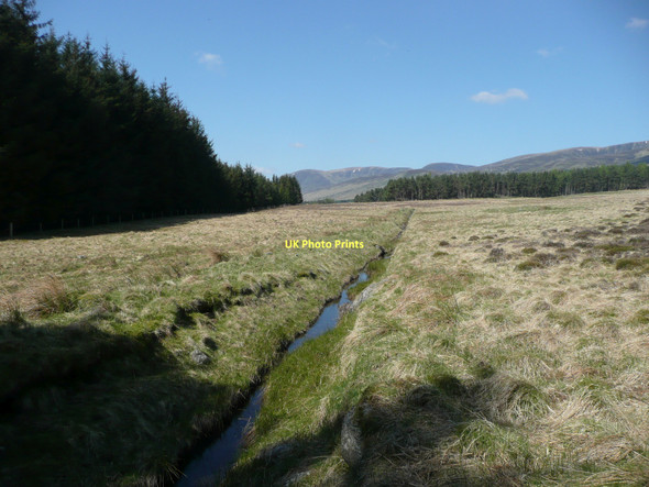 Photo 6"x4" Drainage ditch beside forest Rottal c2011