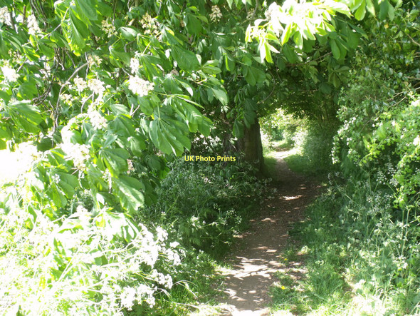 Photo 6"x4" Footpath between Hall Lane and Welton Road Nettleham c2011