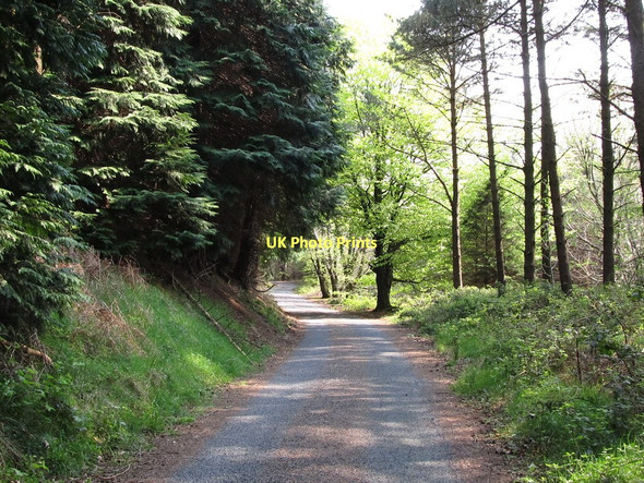 Photo 6"x4" Northern Ireland Water service road leading south towards Head Road Annalong c2011