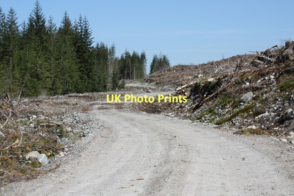 Photo 6"x4" New forest road Allt Fionn-dhail c2011