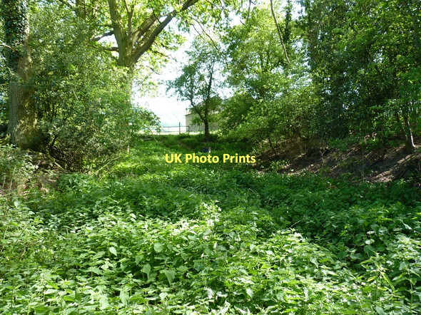 Photo 6"x4" Dry moat at Moat Plantation Harley\/SJ5901 c2011