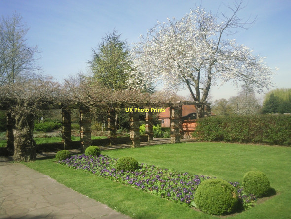 Photo 6"x4" Pergola at Well Hall Pleasaunce Eltham c2011