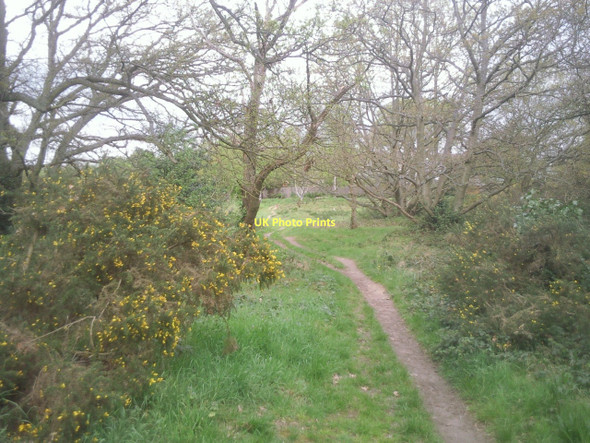 Photo 6"x4" Barnes Common Barnes c2011
