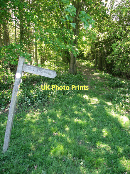 Photo 6"x4" Fingerpost on Boudica's Way Foxhole\/TM2197 c2011