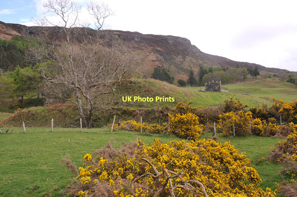 Photo 6"x4" Gorse and ruins at Carsaig Carsaig\/NM5421 c2011