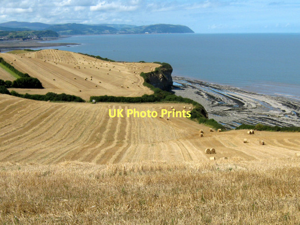 Photo 6"x4" Harvest time, West Somerset East Quantoxhead c2010