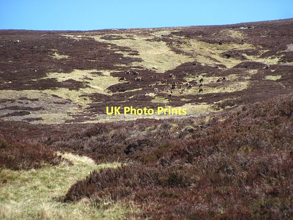 Photo 6"x4" Coire an t-Saighaeir Coire na Creige c2011