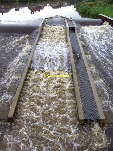 Photo 6"x4" Fish Ladder Castleford c2007
