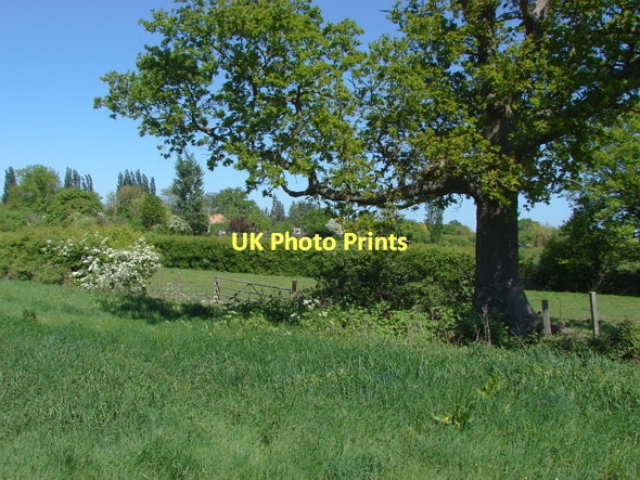 Photo 6"x4" Woodstreet Village Willey Green c2011