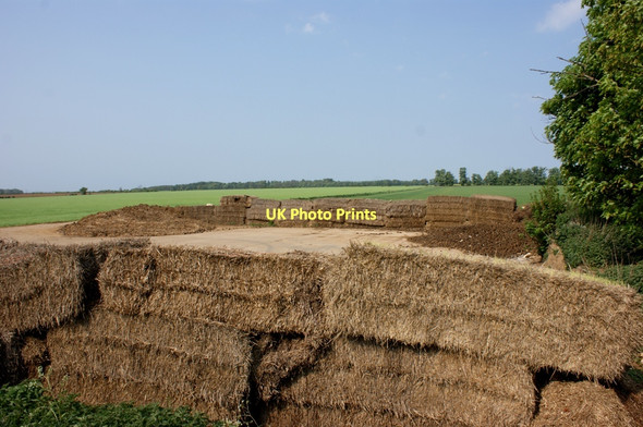 Photo 6"x4" Sugar beet clamp at Belton Warren Welby c2011