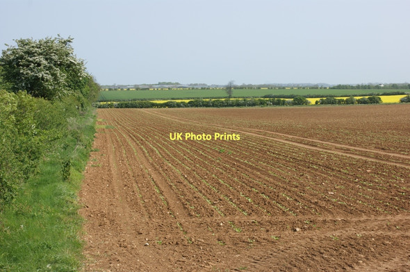 Photo 6"x4" Farmland at Welby Pastures Welby c2011