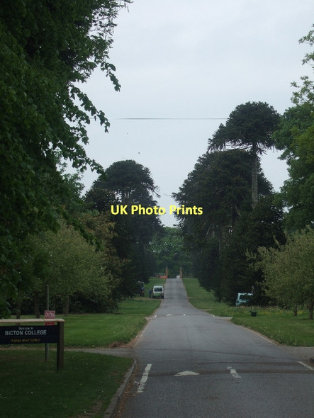 Photo 6"x4" The drive to Bicton College North Star c2011