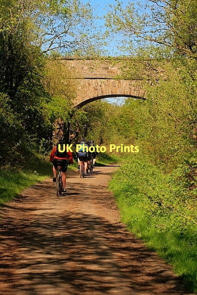 Photo 6"x4" Bridge over the Waskerley Way Castleside\/NZ0848 c2011