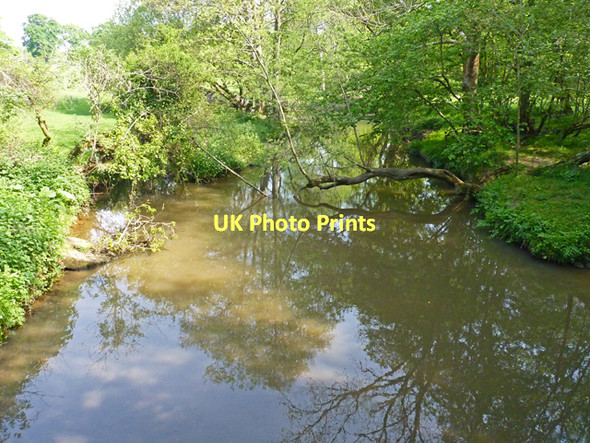 Photo 6"x4" Lymington River in Roydon Woods Sandy Down c2011