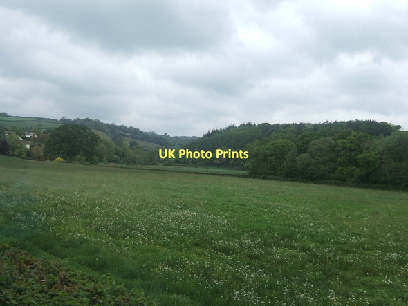 Photo 6"x4" Field on the eastern edge of Bovey Tracey Bovey Tracey c2011