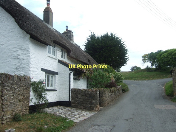 Photo 6"x4" Buttercombe Cottage on the east edge of East Ogwell Newton Abbot c2011