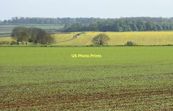 Photo 6"x4" Arable fields, Slate House Farm, Wilsford Ancaster c2011