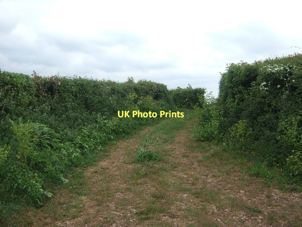 Photo 6"x4" Farm track leading north from a minor road from East Ogwell to Denbury East Ogwell c2011