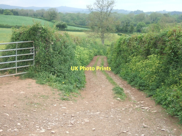Photo 6"x4" Farm track at Stubbins Cross East Ogwell c2011