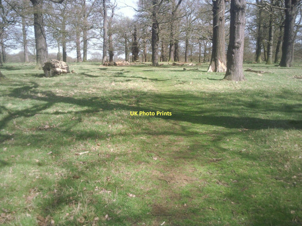 Photo 6"x4" Sheen Cross Wood, Richmond Park Richmond\/TQ1874 c2011
