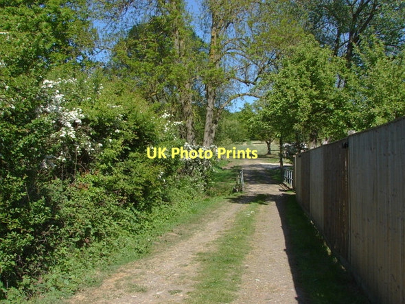 Photo 6"x4" Footpath, Woodstreet Willey Green c2011