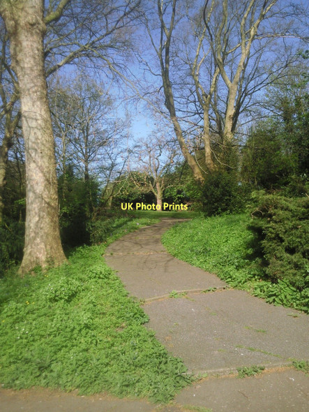 Photo 6"x4" Steps to Cox's mount, Maryon Park Greenwich\/TQ3977 c2011