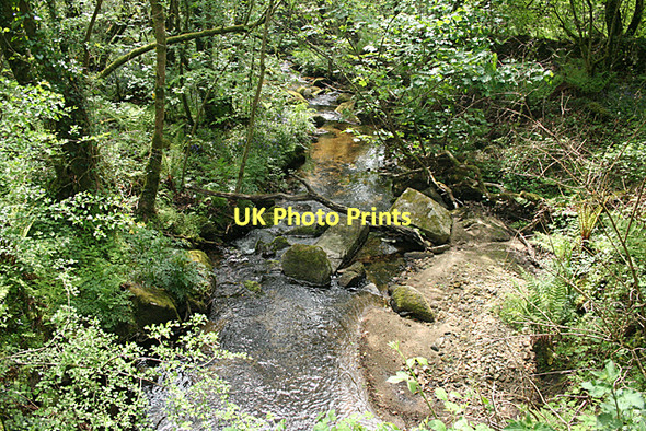 Photo 6"x4" Blisland: river near Durfold Blisland c2011