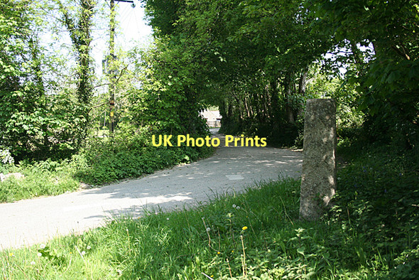 Photo 6"x4" St Breward: lane to De Lank quarries Lank c2011