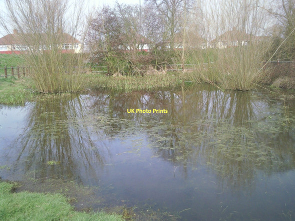 Photo 6"x4" Abbey Ponds Abbey Wood\/TQ4678 c2011 P1