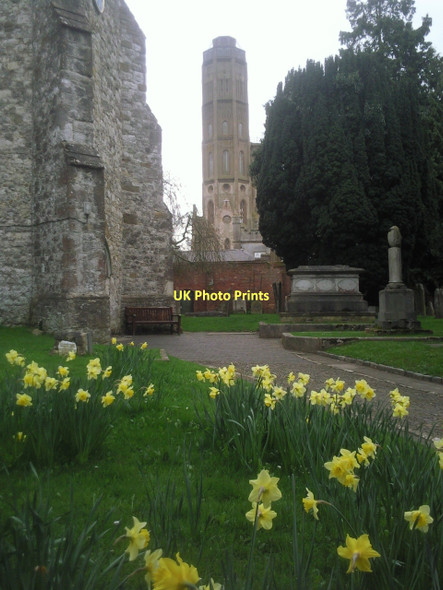 Photo 6"x4" Hadlow Tower from the churchyard Golden Green c2011