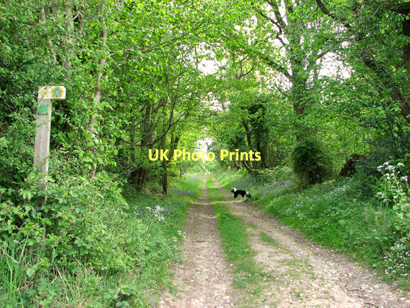 Photo 6"x4" Public footpath to Hempstead Holt\/TG0838 c2011