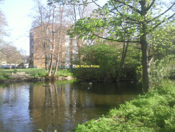 Photo 6"x4" Brooklands Pond Lewisham c2011
