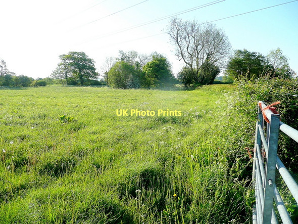 Photo 6"x4" Rich grassland Highleadon c2011