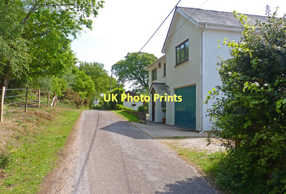 Photo 6"x4" Lower Sandy Down Lane Sandy Down c2011