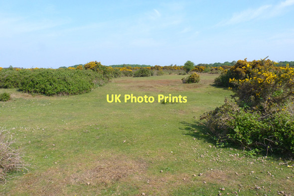 Photo 6"x4" Grazing and Heathland near Setley Battramsley c2011