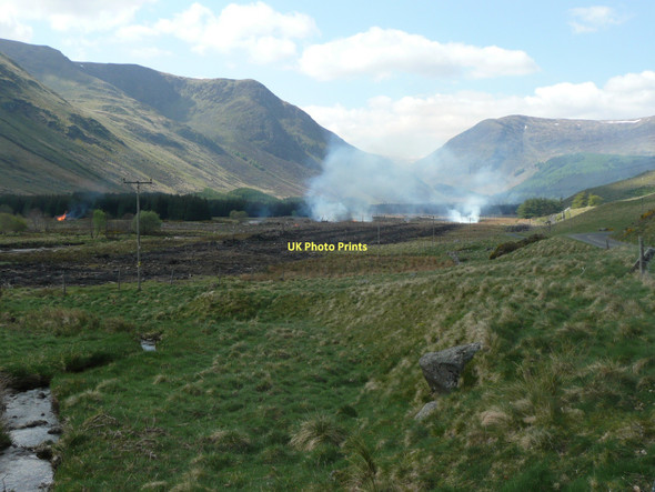 Photo 6"x4" Burning debris after clear felling Clova\/NO3273 c2011