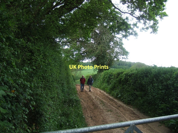 Photo 6"x4" Footpath from Morley to West Ogwell Wotton Cross\/SX8069 c2011