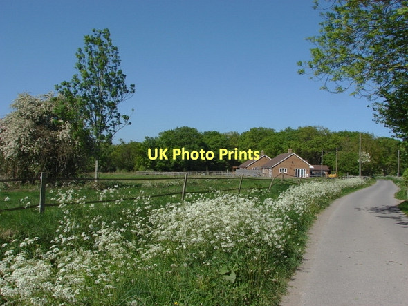 Photo 6"x4" Littlefield Common Littlefield Common c2011
