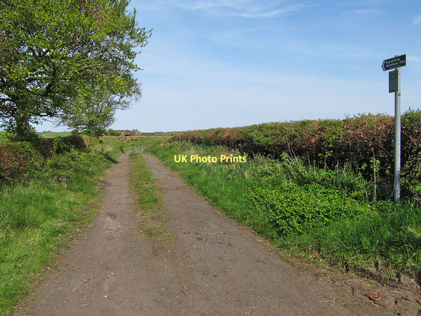 Photo 6"x4" Old track near Stonehouse Stonehouse\/NS7546 c2011