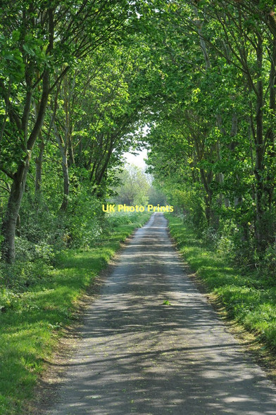 Photo 6"x4" Thames Path east of Castle Eaton Castle Eaton c2011