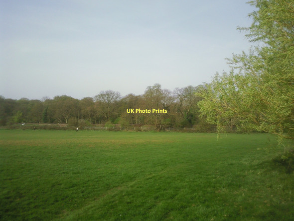 Photo 6"x4" In Beckenham Place Park Beckenham c2011
