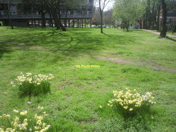 Photo 6"x4" Alton Estate, Roehampton Barnes c2011