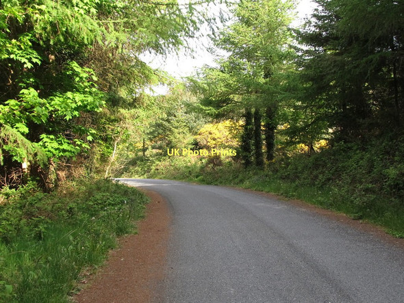 Photo 6"x4" Bend in the Water Road in Annalong Wood Annalong c2011