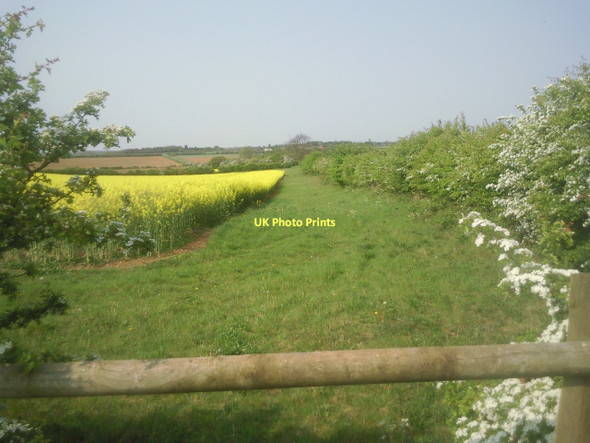 Photo 6"x4" Rural view from the Sutton to Southorpe Road Southorpe\/TF0803 c2011